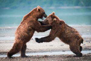 Особенности путешествия по России